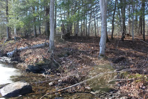 PT LTs H&I Island 12SR IS, Gravenhurst, ON P0E 1G0