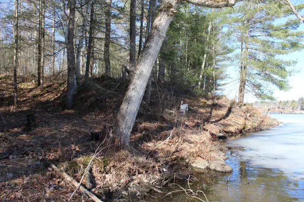 PT LTs H&I Island 12SR IS, Gravenhurst, ON P0E 1G0