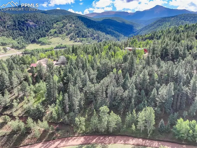 490 Willow RD, Divide, CO 80814