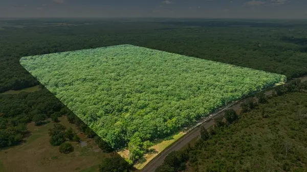 000 FM 410 S, Bogata, TX 75417