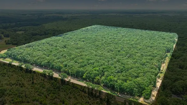 000 FM 410 S, Bogata, TX 75417