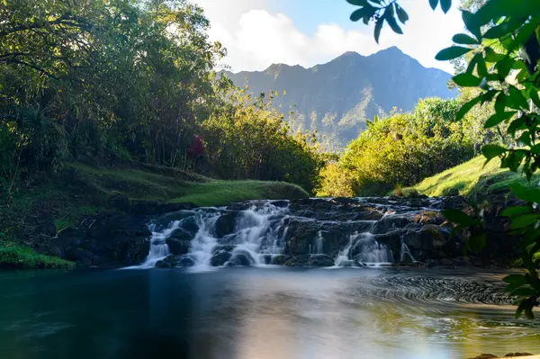 2818 KAMOOKOA RD #1, Kilauea, HI 96754