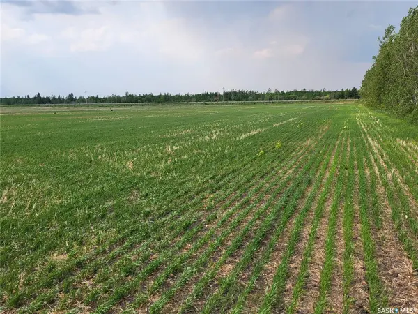 Rural Address, Moose Range Rm No. 486, SK S0E 0L0