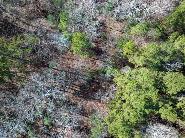 3320 Farm to Market 3065, Colmesneil, TX 75938