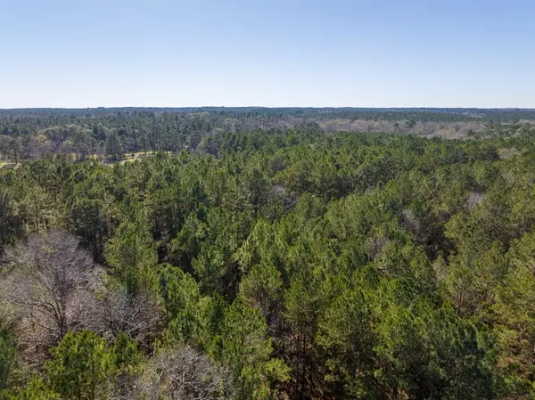 3320 Farm to Market 3065, Colmesneil, TX 75938