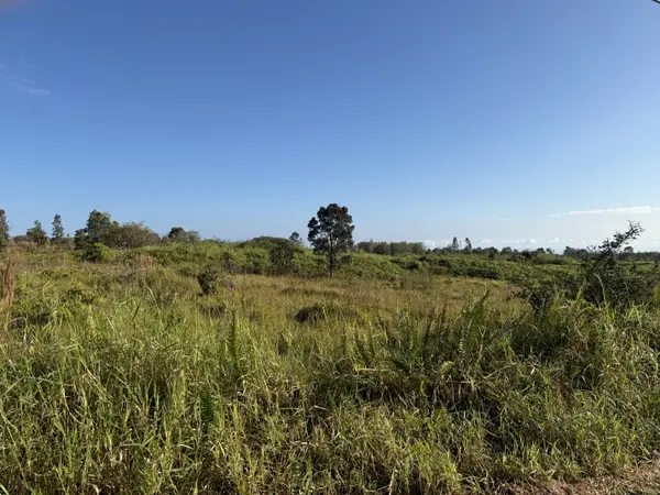 LEHUANANI ST, Mountain View, HI 96771