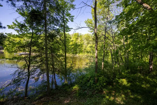 520 Sweets Portage RD, Georgian Bay, ON L0K 1S0