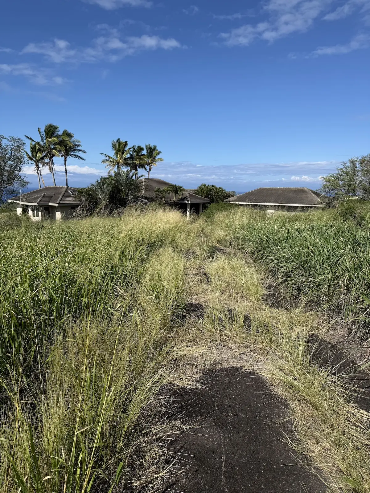 56-2962 PUAKEA BAY DR, Hawi, HI 96719