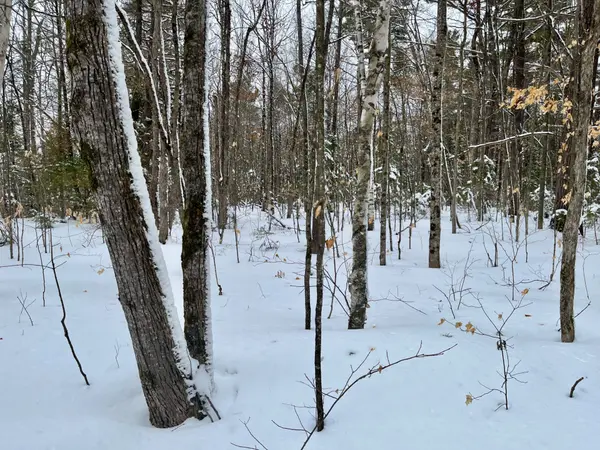 PT LT 3 Snake River Line, Laurentian Valley, ON K0J 1K0