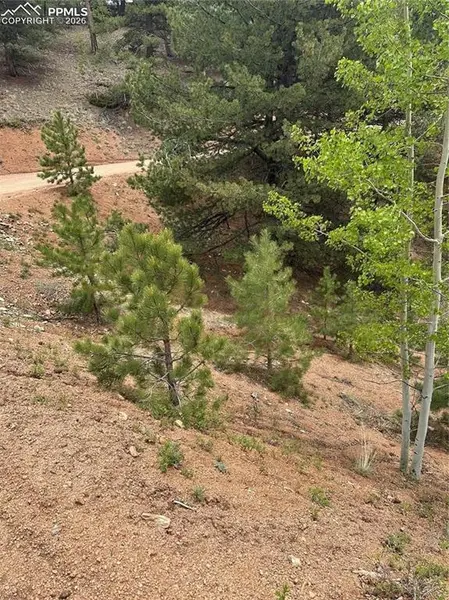 1600 Pikes Peak DR, Divide, CO 80814