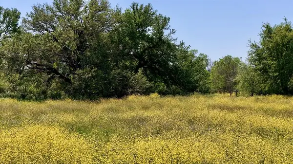 2031-B County Road  3310, Valley Mills, TX 76689