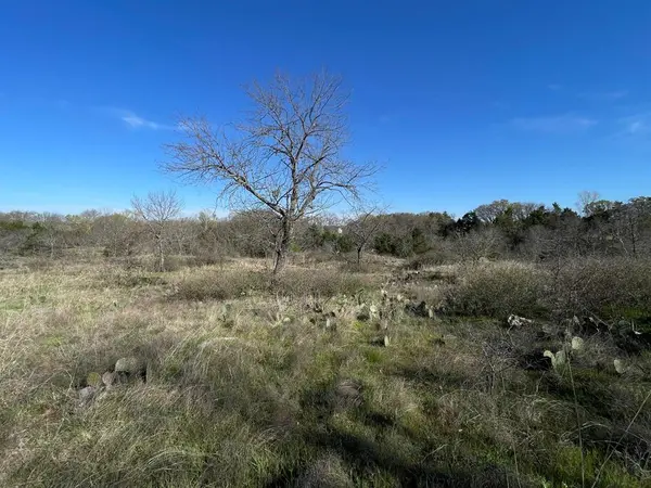 343 Palmilla Drive, Gordonville, TX 76245