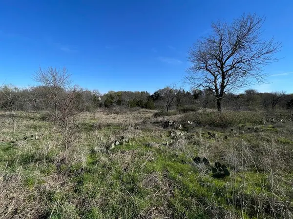 343 Palmilla Drive, Gordonville, TX 76245