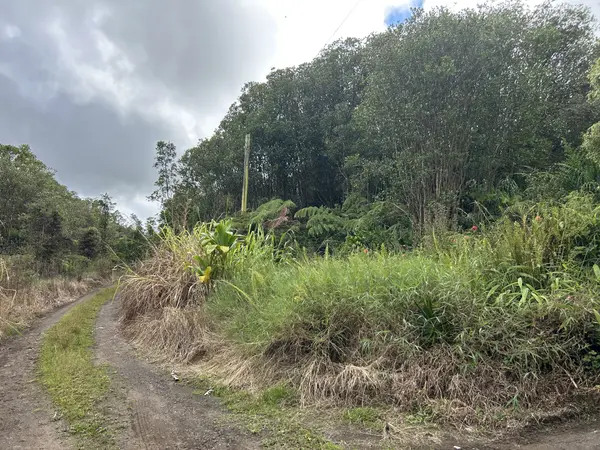 ROAD 7, Mountain View, HI 96771