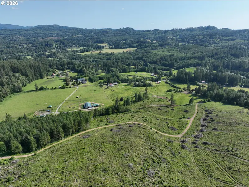 0 NE 206th AVE, Amboy, WA 98601