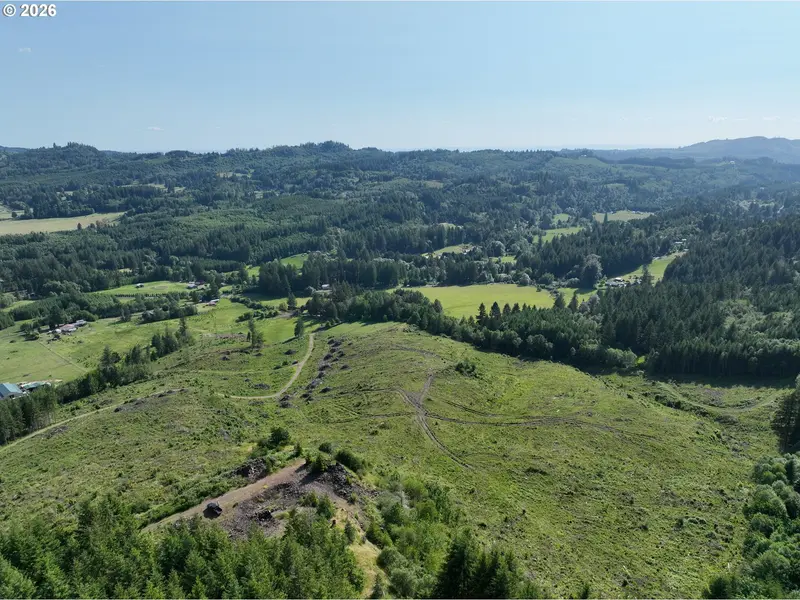 0 NE 206 AVE, Amboy, WA 98601