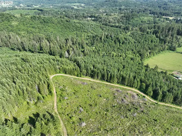 0 NE 206th AVE, Amboy, WA 98601