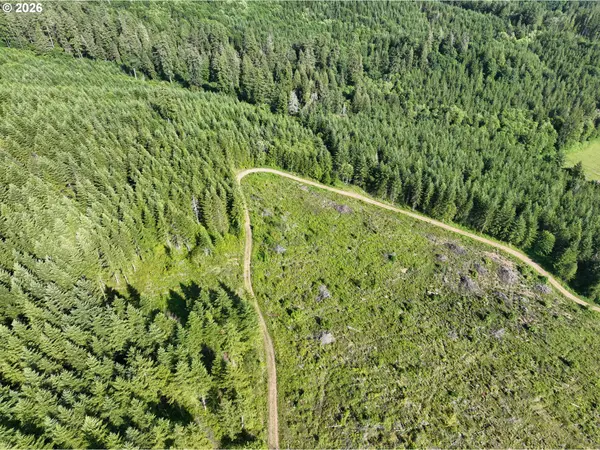 0 NE 206th AVE, Amboy, WA 98601