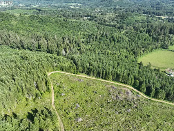 0 NE 206th AVE, Amboy, WA 98601