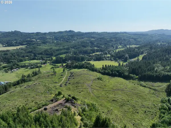 0 NE 206 AVE, Amboy, WA 98601