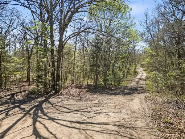 0 County Road 1687, Alba, TX 75410