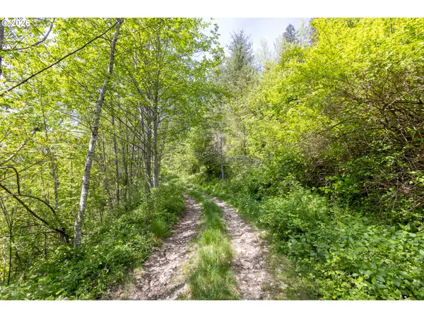 Snag Mountain RD, Washougal, WA 98671