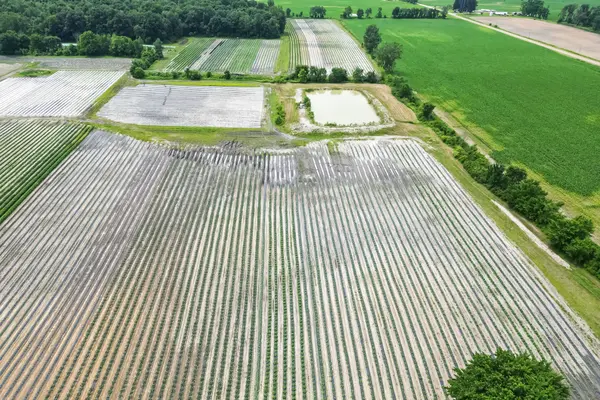 11 Tucker ST, Southwest Middlesex, ON N0L 1Z0