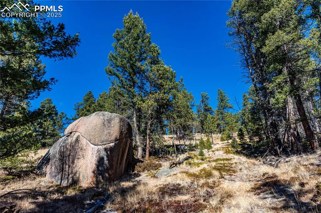 TBD Arrowhead RD, Florissant, CO 80816