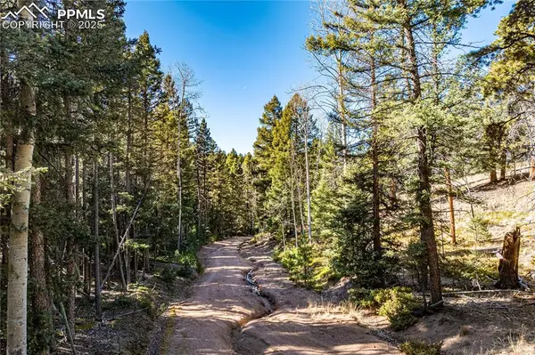 TBD Arrowhead RD, Florissant, CO 80816