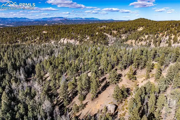 TBD Arrowhead RD, Florissant, CO 80816