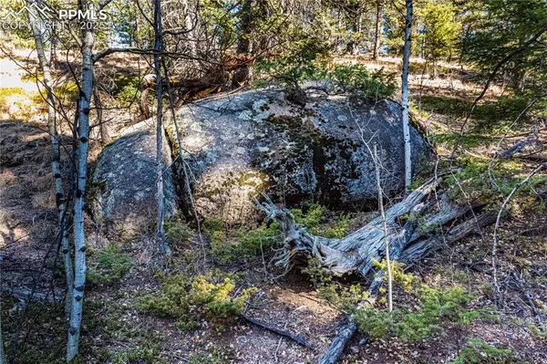 TBD Arrowhead RD, Florissant, CO 80816