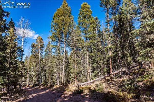 TBD Arrowhead RD, Florissant, CO 80816