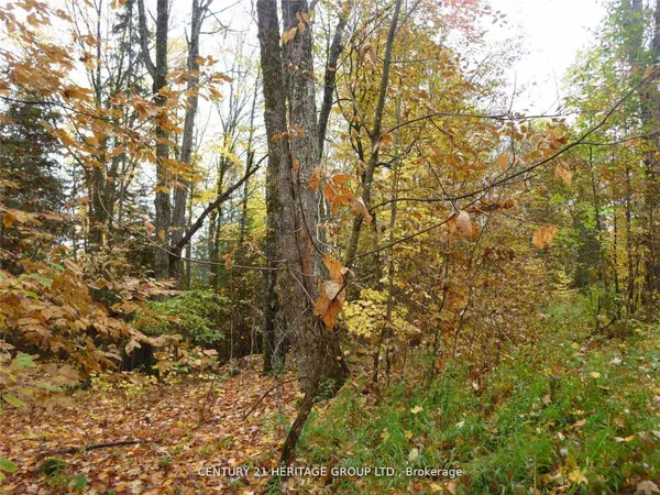 Pt Lot 8 MacDuff RD, Highlands East, ON K0L 2Y0