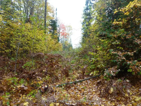 Pt Lot 8 MacDuff RD, Highlands East, ON K0L 2Y0