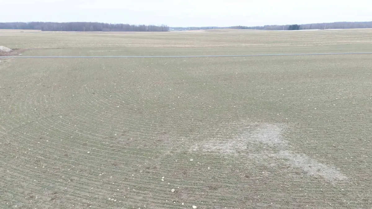 2027 Harriston RD, Howick, ON N0G 1X0