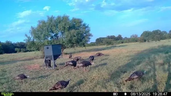 15100 County Road 129, Brownwood, TX 76801