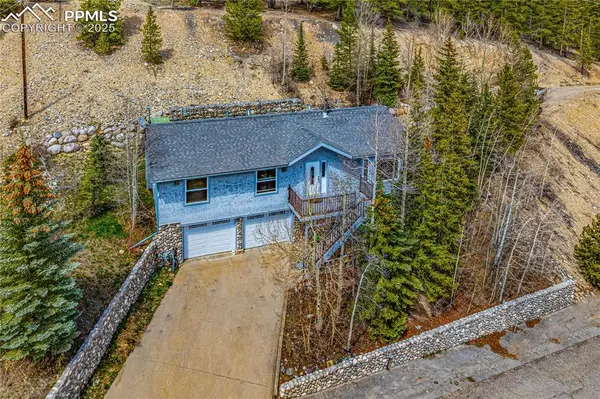 1803 Ridgeview DR, Leadville, CO 80461