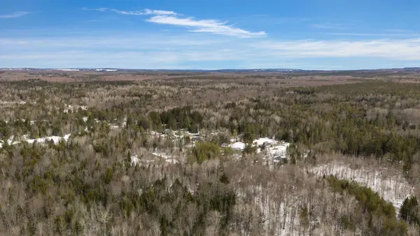 1541 Gill RD, Springwater, ON L9X 1N2