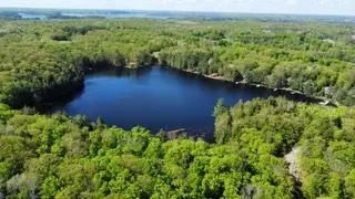 Address Not Disclosed