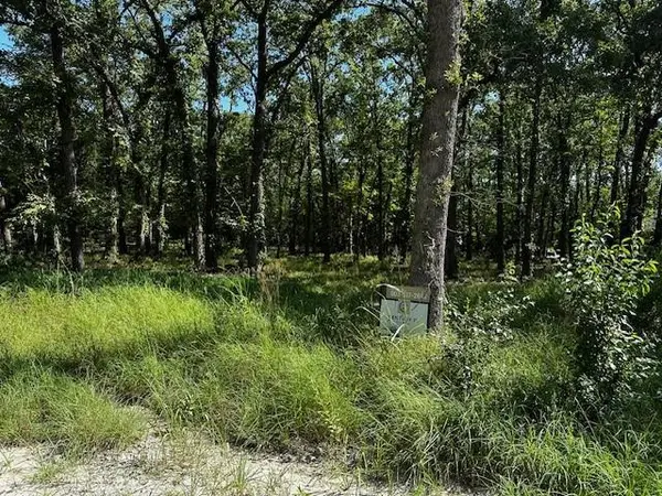 924 Woodland Drive, West Tawakoni, TX 75474