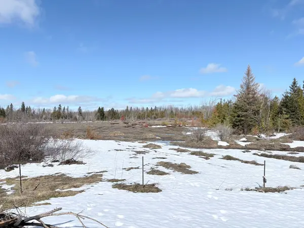 268 McGuire Beach RD, Kawartha Lakes, ON K0M 2B0