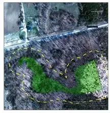 1234 Cooke RD, Stirling-rawdon, ON K0K 3E0