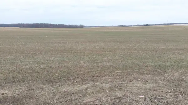 2029 Harriston RD, Howick, ON N0G 1X0