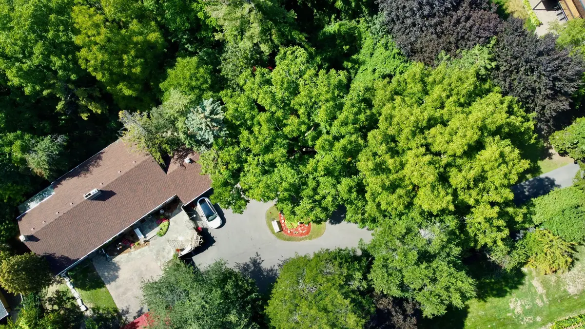 85 Yorkleigh AVE, Toronto W09, ON M9P 1Y3