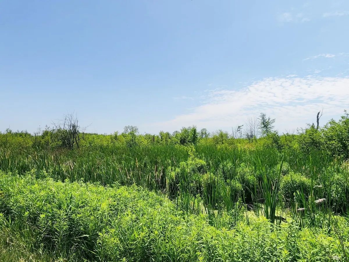 20200 Highway 48 N/A, East Gwillimbury, ON L0G 1M0