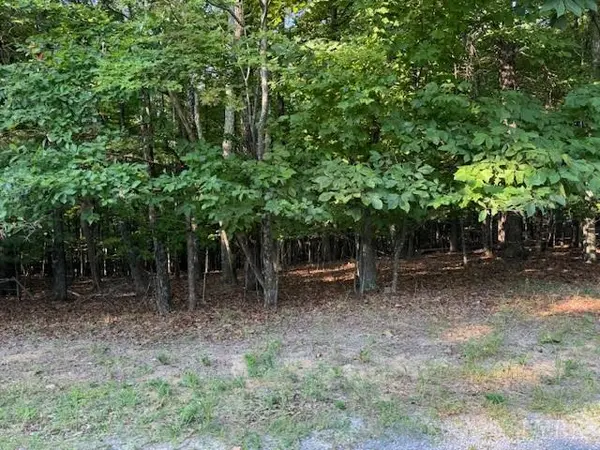 22 Woodshire DR, Blue Ridge, VA 24064