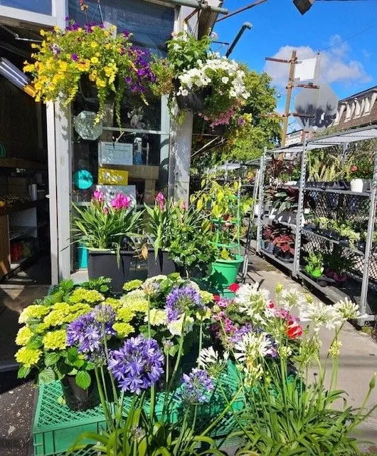 1364 Bathurst ST, Toronto C02, ON M5R 3H7