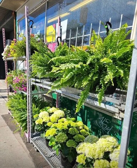 1364 Bathurst ST, Toronto C02, ON M5R 3H7