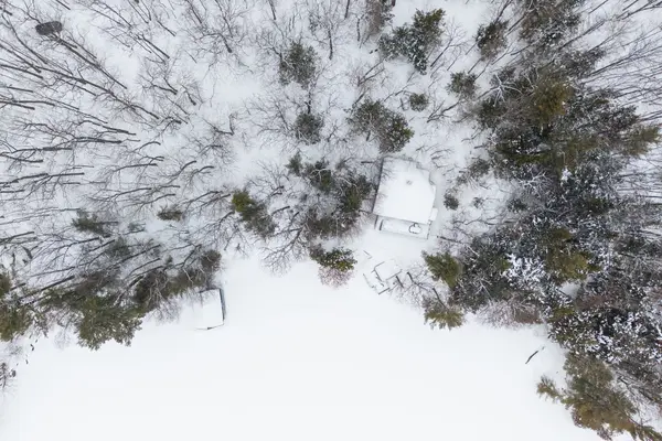 1246 Purdy RD, Muskoka Lakes, ON P0B 1M0