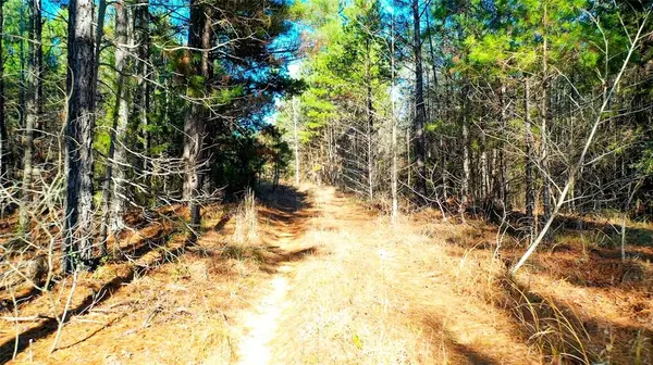 TBD Hwy 49, Jefferson, TX 75657